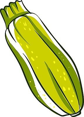 EPS 해외이미지 식물 음식 백그라운드 농업 다이어트 채소 일러스트 재료 자연 건강 요리 초록색 여름 정원 흰색 신선 자르기 유기농 날것 내추럴 고립 숙성 주키니 주키니호박 채식주의자 맛있는 해외202009 해외일러스트 웰빙 계절 산업 컬러 모션 생태계 채식 파일형식 벡터