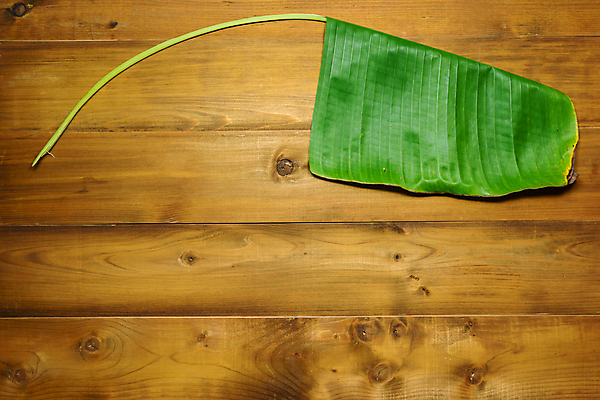 포토 JPG 해외이미지 식물 디자인 아시아 백그라운드 잎 패턴 텍스트 태국 자연 바나나 사람없음 목재 공백 메시지 널 질감 내추럴 스타일 카피스페이스 해외202009 해외포토 나무 나라 무늬 과일 재료 생태계 파일형식