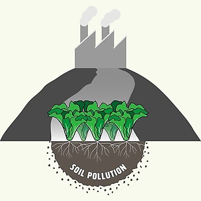 EPS 해외이미지 식물 디자인 산업 음식 백그라운드 컨셉 농업 채소 일러스트 건강 안전 그래픽 환경 정원 흙 환경오염 오염 플랫 보호 땅 위협 심볼 사인 유기농 생태계 보안 윤곽 뿌리 충격 문제 지하 자원 유지 내추럴 고립 땅바닥 엘리먼트 화학물질 해외202009 해외일러스트 웰빙 바닥 화학 파일형식 벡터