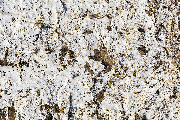 포토 JPG 해외이미지 외관 산업 벽 백그라운드 패턴 건축양식 표면 날씨 추상 벽돌 돌담 사람없음 건물 가로 공백 흰색 거친 균열 큼 타일 고민 질감 시멘트 구식 그런지 옛날 콘크리트 카피스페이스 해외202009 해외포토 건축물 건축 감정 컬러 무늬 모션 담장 돌_바위 크기 파일형식