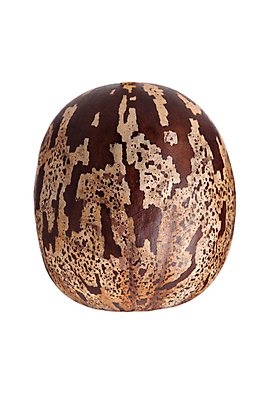 포토 JPG 해외이미지 나무 식물 산업 아시아 농업 태국 자연 씨앗 풍경 사람없음 컵 농작물 농장 우유 성장 나뭇가지 신선 막대기 사발 떨어짐 냄비 숲 열대우림 자르기 천 수집 날것 타이어 브라질 고무 내추럴 라텍스 공급 해외202009 해외포토 식기 나라 컨셉 모션 유제품 직물 사기그릇 남아메리카 솥 생태계 파일형식