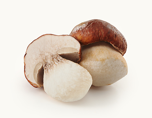 포토 JPG 해외이미지 클리핑패스 음식 조각 채소 재료 요리 사람없음 식사 버섯 수확 흰색 신선 날것 슬라이스 고립 그물버섯 해외202009 해외포토 컬러 농업 파일형식