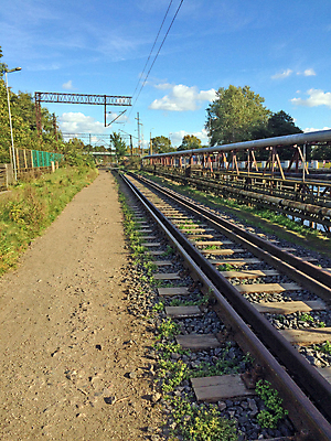 포토 JPG 해외이미지 식물 외관 유럽 선 교통시설 독일 사람없음 야외 초록색 기차 전선 화물 도시 네트워크 숲 질서 공화국 선로 옛날 해외202009 해외포토 나라 육상교통 컬러 교통 대중교통 운송업 예절 시설 파일형식