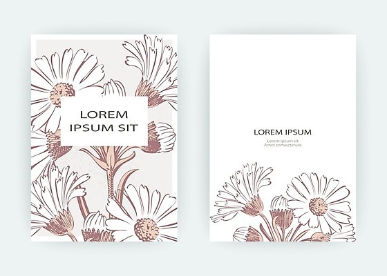 EPS 해외이미지 식물 템플릿 손 디자인 꽃 포스터 결혼 백그라운드 컨셉 꽃무늬 패턴 일러스트 자연 프레임 국화 그래픽 여름 빛 파티 유행 쪽지 봄 덮개 벚꽃 흰색 인사 신용카드 낙서 스케치 데이지 심플 초대 금잔화 고립 캐모마일 파스텔톤 헤딩 미니멀리스트 미니멀 국경 해외202009 해외일러스트 계절 컬러 무늬 미술 이벤트 신체부위 금융 축구 뚜껑 예절 허브 생태계 파일형식 벡터