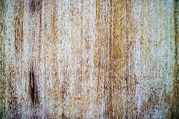 포토 JPG 해외이미지 나무 식물 디자인 벽 가구 백그라운드 패턴 자연 벽지 표면 추상 바닥 주택 사람없음 목재 장식 빨간색 햇빛 갈색 어둠 줄무늬 손상 수확 소나무 판넬 주름 묘사 질감 복고 먼지 온도 잡동사니 정맥 내추럴 수목 엘리먼트 옛날 해외202009 해외포토 컬러 생활용품 컨셉 무늬 농업 재료 건물 태양 생태계 혈관 파일형식