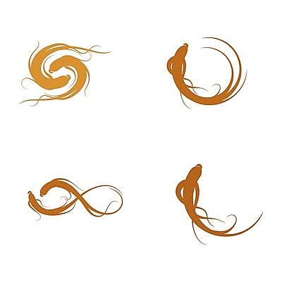 EPS 해외이미지 건강 사람없음 약 인삼 뿌리 해외202009 의학 삼 파일형식 벡터