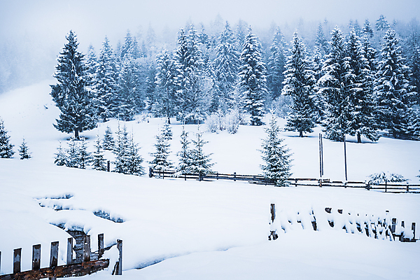 포토 JPG 해외이미지 나무 계절 유럽 여행 겨울 자연 날씨 휴가 산 파노라마 풍경 사람없음 환경 계곡 냉동 얼음 하이킹 추위 안개 흰색 시골 숲 그림 서리 북쪽 전나무 산악지대 교외 제설기 폭설 눈내림 해외202009 해외포토 자연요소 식물 나라 컬러 레저 눈_날씨 촬영기법 자연재해 방향 생태계 제설 파일형식