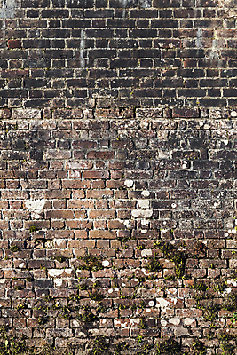 포토 JPG 해외이미지 외관 산업 벽 백그라운드 패턴 건축양식 표면 날씨 추상 벽돌 돌담 사람없음 건물 빨간색 세로 공백 블록 도시 큼 천 타일 고민 질감 시멘트 직사각형 고체 그런지 옛날 지속성 콘크리트 카피스페이스 해외202009 해외포토 도형 건축물 건축 감정 컬러 무늬 담장 돌_바위 직물 크기 파일형식
