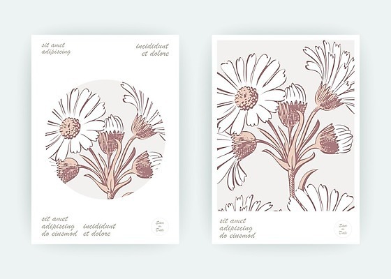 EPS 해외이미지 식물 템플릿 손 디자인 꽃 포스터 결혼 백그라운드 컨셉 꽃무늬 패턴 일러스트 자연 프레임 국화 그래픽 여름 빛 파티 유행 봄 덮개 벚꽃 흰색 인사 원형 신용카드 낙서 스케치 데이지 심플 초대 금잔화 고립 캐모마일 파스텔톤 헤딩 미니멀리스트 미니멀 국경 해외202009 해외일러스트 도형 계절 컬러 무늬 미술 이벤트 신체부위 금융 축구 뚜껑 예절 허브 생태계 파일형식 벡터