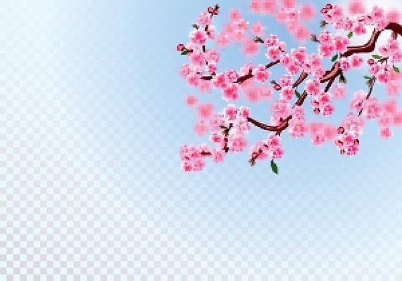 EPS 해외이미지 꽃잎 꽃 일러스트 사람없음 벚꽃 나뭇가지 해외202009 해외일러스트 나무 식물 파일형식 벡터