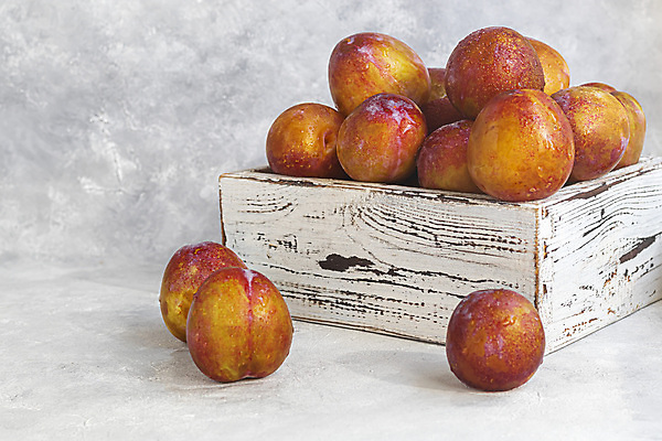 포토 JPG 해외이미지 음료 음식 백그라운드 겨울 과일 가족 디저트 귤 건강 사탕 요리 사람없음 파란색 노란색 주방 얼음 거품 회색 추위 항아리 작업실 주식 큼 발사 잼 설탕 굽기 준비 양주 젤리 자두 내추럴 구김 끓이기 캐러멜 카피스페이스 해외202009 해외포토 자연요소 계절 컬러 관계 모션 주류 금융 공백 도자기 소스_음식 크기 구이 파일형식