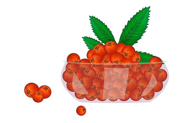 EPS 해외이미지 접시 디자인 열매 음식 백그라운드 농업 과일 일러스트 재료 자연 유리 디저트 건강 초록색 여름 쌓기 정원 주스 수확 굴 흰색 신선 그룹 사발 달콤 맛 아침식사 작음 큼 잼 가득함 오브젝트 상쾌 유기농 날것 비타민 흙더미 내추럴 고립 바이오 숙성 채식주의자 맛있는 해외202009 해외일러스트 식물 식기 웰빙 계절 감정 산업 음료 컬러 컨셉 모션 재질 어패류 식사 흙 사기그릇 소스_음식 크기 생태계 채식 영양소 파일형식 벡터 더미