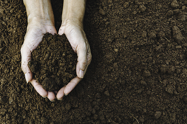 포토 JPG 해외이미지 손 지구 백그라운드 컨셉 패턴 밭 농업 자연 표면 사람없음 농장 갈색 환경 정원 흙 성장 흰색 신선 닫기 보호 땅 묘사 유기농 원예 질감 먼지 진흙 내추럴 고립 그런지 땅바닥 생태학 세련 해외202009 해외포토 웰빙 교육 산업 컬러 무늬 모션 바닥 취미 신체부위 생태계 파일형식