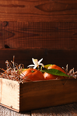 포토 JPG 해외이미지 꽃 음식 백그라운드 잎 농업 오렌지 과일 귤 건강 사람없음 목재 초록색 상자 벚꽃 시골 신선 나무상자 유기농 짐싸기 비타민C 숙성 해외202009 해외포토 나무 식물 웰빙 산업 컬러 재료 비타민 파일형식