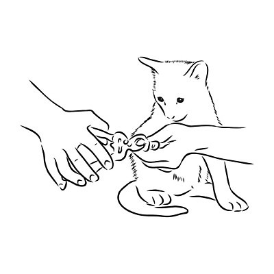 EPS 해외이미지 동물 직업 손 디자인 실루엣 음식 컨셉 쿠션 가방 일러스트 장신구 포유류 탁자 주택 사람 반려동물 검은색 고양이 장비 공구 붓 머리빗 못 사발 씻기 자르기 서비스 사인 솜털 수의사 몸단장 송곳니 다듬기 돌봄 이발사 집게발 해외202009 해외일러스트 잡화 컬러 가구 모션 촬영기법 건물 신체부위 청결 의사 도구 미용용품 사기그릇 치아 파일형식 벡터 그릇 건축물 생활용품 의료진 소화기관 위생 오브젝트 식기 건축 의학 장기 신체
