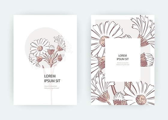 EPS 해외이미지 식물 템플릿 손 디자인 꽃 포스터 결혼 백그라운드 컨셉 꽃무늬 패턴 일러스트 자연 프레임 국화 그래픽 여름 빛 파티 유행 봄 덮개 벚꽃 흰색 인사 원형 신용카드 낙서 스케치 데이지 심플 초대 금잔화 고립 캐모마일 파스텔톤 헤딩 미니멀리스트 미니멀 국경 해외202009 해외일러스트 도형 계절 컬러 무늬 미술 이벤트 신체부위 금융 축구 뚜껑 예절 허브 생태계 파일형식 벡터