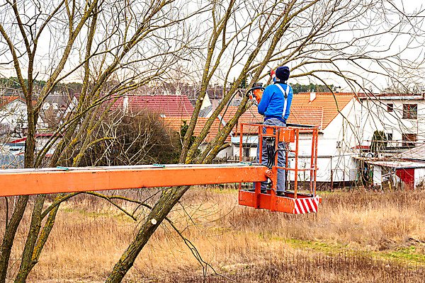 포토 JPG 해외이미지 나무 공원 노동자 안테나 안전 사람없음 야외 목재 마을 정원 장비 나뭇가지 도시 업무 위험 자르기 고도 기중기 원예 리프트 짐차 손질 타운 잡동사니 단상 다듬기 수목 전기톱 톱질 해외202009 해외포토 식물 직업 공공시설 컨셉 재료 통신 모션 자동차 취미 작업 중장비 톱 파일형식