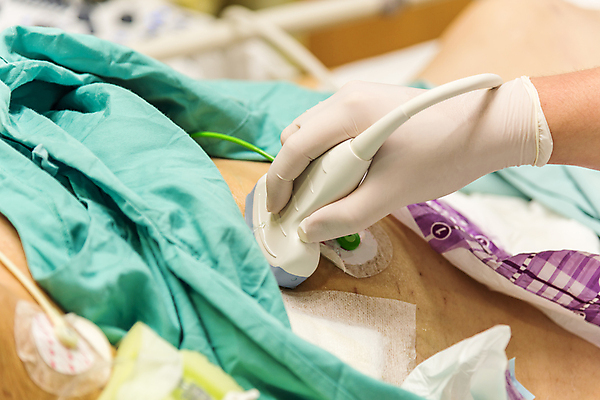 포토 JPG 해외이미지 직업 손 여자 과학 건강 병원 사람 동양인 성인 사람없음 치료 약 희망 기계 고통 장비 시험 환자 간호사 의사 침대 긴급 질병 암 80대 돌봄 복근 치유 헬프 복부 해외202009 해외포토 교육 노년 감정 가구 의학 모션 근육 인종 신체부위 의료진 도움 파일형식