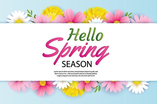 EPS 해외이미지 계절 꽃 백그라운드 잎 꽃무늬 일러스트 이벤트 사람없음 세일 봄 낭만 국경 해외202009 해외일러스트 식물 컨셉 무늬 파일형식 벡터