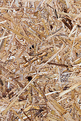 포토 JPG 해외이미지 나무 디자인 산업 벽 백그라운드 패턴 벽지 표면 추상 사람없음 목재 갈색 노란색 소나무 판넬 황금 플랫 널 숲 묘사 질감 목공예 판 내추럴 수목 합판 더스트파티클 해외202009 해외포토 식물 컬러 무늬 재료 공예 파일형식