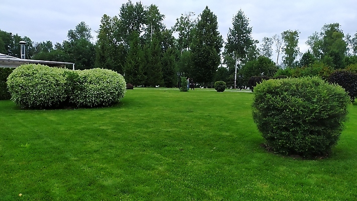 포토 JPG 해외이미지 식물 디자인 계절 공원 꽃 백그라운드 컨셉 잎 패턴 밭 자연 벽지 하늘 추상 부활절 미술 풍경 잔디 초원 사람없음 아웃포커스 초록색 여름 빛 컬러풀 태양 정원 맑음 봄 성장 신선 허브 원예 질감 보케 부드러움 내추럴 블러 효과 해외202009 해외포토 자연요소 공공시설 기념일 컬러 무늬 농업 날씨 문화예술 촬영기법 취미 감각 생태계 파일형식