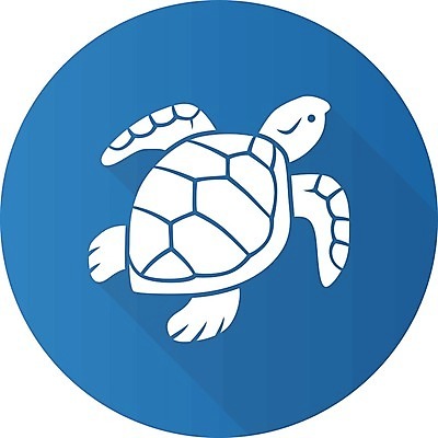 EPS 해외이미지 클립아트 동물 디자인 야생동물 바다 컨셉 일러스트 파충류 모션 자연 생물 항해 동물원 어류 물 파란색 픽토그램 세계 바닷속 수중 수영 웹 껍질 플랫 거북이 심볼 사인 생물학 수족관 방패 느림 동물상 상형문자 엘리먼트 항목 해외202009 해외일러스트 자연요소 문자 교육 컬러 인터넷 조형물 수중동물 수상스포츠 배 생태계 선박 파일형식 벡터 스포츠 수상교통 미술 교통수단 문화예술 교통