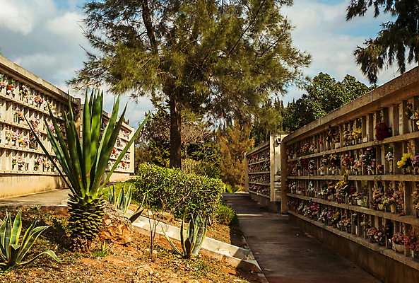 포토 JPG 해외이미지 전통 유럽 종교 문화 여행 건축양식 풍경 사람없음 야외 건물 도시풍경 햇빛 여행객 마을 맑음 바위 흰색 시골 죽음 무덤 도시 스페인 묘사 언덕 타운 남쪽 스페인어 안달루시아 옛날 해외202009 해외포토 건축물 건축 나라 컬러 날씨 사람 태양 돌_바위 방향 파일형식