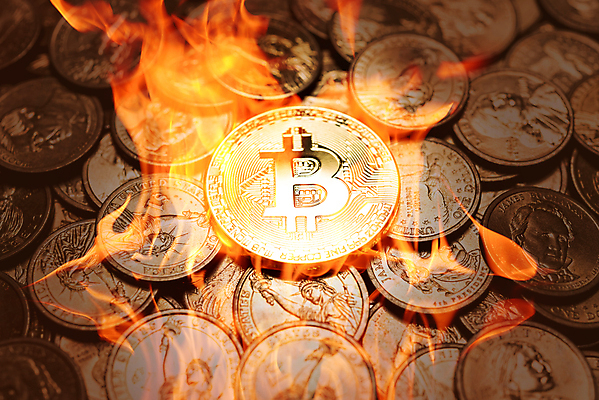 포토 JPG 해외이미지 백그라운드 컨셉 돈 인터넷 비즈니스 미래 사람없음 금융 디지털 동전 웹 블록 시장 황금 발굴 무역 전자 토막 가상 해외202009 해외포토 산업 경제 재산 파일형식