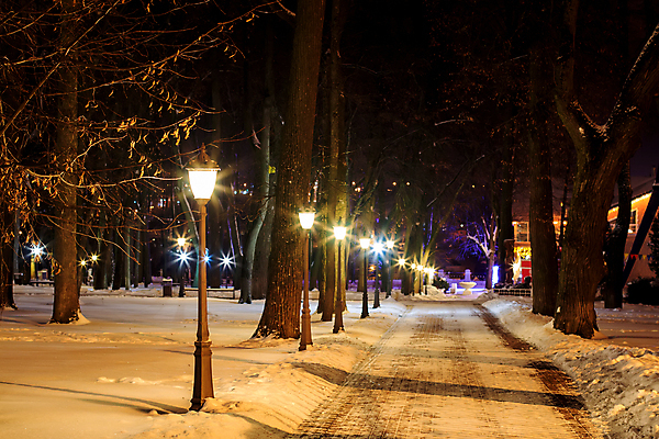 포토 JPG 해외이미지 나무 계절 공원 유럽 길 백그라운드 크리스마스 겨울 벤치 자연 새로움 풍경 사람없음 목재 장식 빨간색 파란색 빛 평화 얼음 추위 흰색 램프 야간 저녁 숲 12월 연도 서리 정사각형 러시아 장면 1월 2월 폭설 눈내림 해외202009 해외포토 자연요소 도형 식물 공공시설 기념일 나라 컬러 컨셉 의자 재료 조명 눈_날씨 날짜 자연재해 생태계 파일형식