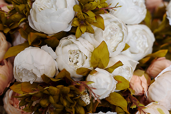 포토 JPG 해외이미지 식물 기념일 꽃잎 꽃 분홍색 꽃다발 결혼 백그라운드 꽃무늬 패턴 결혼식 엄마 추상 휴가 발렌타인데이 선물 사랑 사람없음 장식 빨간색 장미 축제 낭만 수확 벚꽃 흰색 축하 인사 신용카드 생일 의식 우아함 다발 전시회 복고 데이지 거짓 구성 인공 파스텔톤 많음 해외202009 해외포토 감정 컬러 컨셉 무늬 농업 가족 데이이벤트 이벤트 금융 전시 예절 파일형식