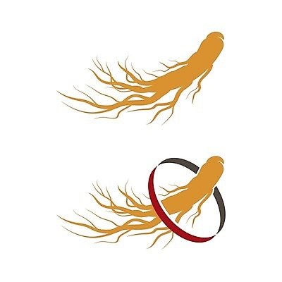 EPS 해외이미지 건강 사람없음 약 인삼 뿌리 해외202009 의학 삼 파일형식 벡터