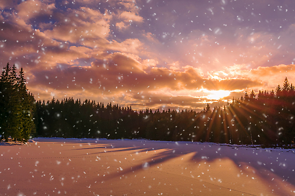 포토 JPG 해외이미지 계절 크리스마스 캐나다 자국 자연 하늘 날씨 휴식 파노라마 사람없음 목재 빛 햇빛 태양 일출 환경 냉동 얼음 침묵 일몰 새벽 광선 흰색 크리스탈 서리 장면 수평선 해외202009 해외포토 자연요소 나무 기념일 컬러 컨셉 북아메리카 재료 촬영기법 노을 소리 광석 생태계 파일형식