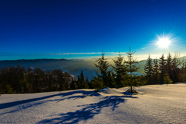 포토 JPG 해외이미지 나무 구름 유럽 여행 겨울 자연 하늘 휴가 스키 산 파노라마 풍경 사람없음 야외 파란색 태양 일출 맑음 냉동 얼음 새벽 트래킹 하이킹 추위 성장 흰색 소나무 숲 언덕 서리 북쪽 슬로프 산악지대 웅장함 절정 폭설 눈내림 가문비나무 해외202009 해외포토 자연요소 식물 계절 나라 컬러 레저 날씨 겨울스포츠 스키장 눈_날씨 촬영기법 노을 자연재해 방향 생태계 파일형식