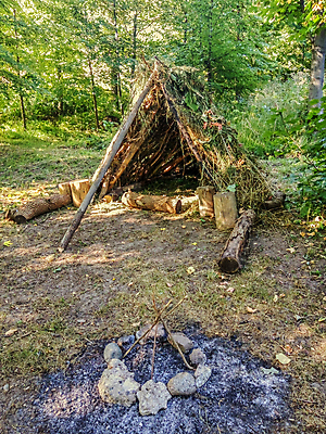 포토 JPG 해외이미지 나무 공원 백그라운드 자연 주택 건조 텐트 풍경 사람없음 야외 목재 여름 나뭇가지 시골 막대기 황무지 숲 오두막 인도인 해외202009 해외포토 외국인 식물 계절 공공시설 재료 캠핑도구 동양인 건물 생태계 파일형식