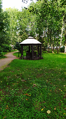 포토 JPG 해외이미지 나무 식물 계절 공원 도로 길 여행 백그라운드 낙엽 잎 자국 자연 휴식 풍경 사람없음 야외 목재 초록색 여름 빛 환경 정원 맑음 침묵 봄 산책 하이킹 시골 숲 오솔길 열대우림 내추럴 방법 삼림지대 해외202009 해외포토 공공시설 컬러 컨셉 재료 교통시설 레저 날씨 소리 생태계 파일형식