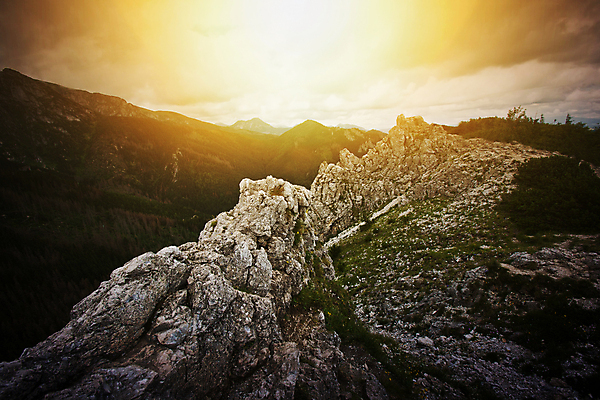 포토 JPG 해외이미지 나무 식물 구름 공원 길 여행 잎 오렌지 자연 하늘 아침 산 풍경 사람없음 야외 초록색 물 여름 파란색 빛 강 노란색 평화 환경 어둠 일몰 새벽 안개 달 가을 바위 황무지 황금 저녁 숲 산등성이 폴란드 내추럴 뿌연 서쪽 해외202009 해외포토 주간 자연요소 계절 공공시설 유럽 컬러 컨셉 과일 날씨 노을 돌_바위 야간 방향 생태계 파일형식