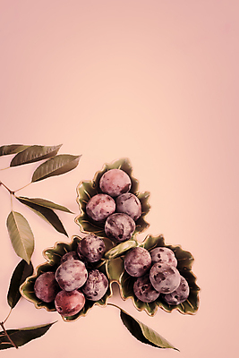 포토 JPG 해외이미지 식물 식기 음식 다이어트 과일 자연 탁자 디저트 건강 사람없음 세로 농작물 노란색 보라색 어둠 신선 그룹 달콤 유기농 자두 건강식 내추럴 숙성 채식주의자 많음 카피스페이스 맛있는 해외202009 해외포토 웰빙 컬러 가구 컨셉 농업 공백 맛 생태계 채식 파일형식