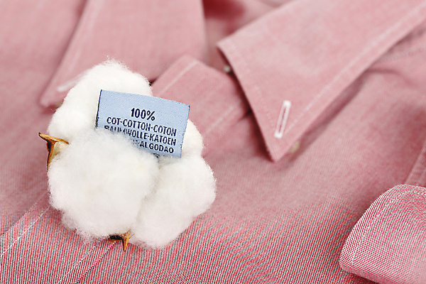 포토 JPG 해외이미지 분홍색 셔츠 사람없음 라벨 면 오브젝트 부드러움 성분 목화꽃 목화솜 해외202009 해외포토 꽃 컬러 상의 프레임 감각 솜 파일형식