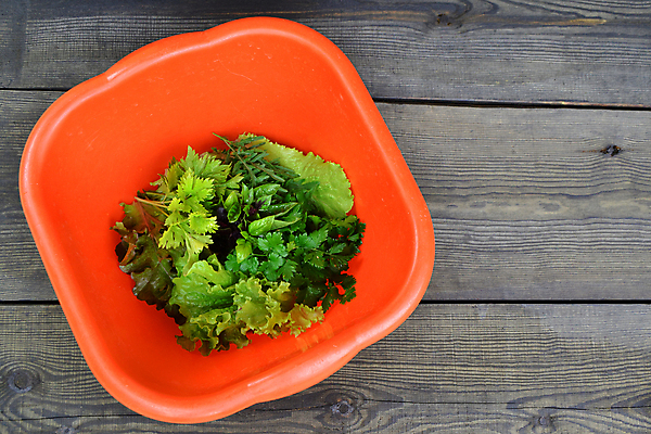 포토 JPG 해외이미지 식물 음식 백그라운드 잎 채소 재료 자연 탁자 파슬리 건강 요리 사람없음 목재 초록색 약 주방 정원 시골 신선 잡기 양념 사발 작음 다발 수집 지중해 민트 허브 향신료 유기농 날것 아로마 향 바질 로즈메리 내추럴 딜 백리향 세이지 카피스페이스 해외202009 해외포토 나무 웰빙 바다 컬러 가구 의학 모션 공백 사기그릇 크기 생태계 향미료 파일형식