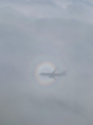 포토 JPG 해외이미지 구름 지구 여행 백그라운드 비즈니스 창문 교통시설 하늘 휴가 비행기 안테나 파노라마 그림자 풍경 사람없음 파란색 세계 자유 흰색 분위기 정상 항공 상업 제트기 승객 스카이라인 대패 웅장함 수평선 해외202009 해외포토 자연요소 컬러 교통 컨셉 통신 항공교통 대중교통 촬영기법 시설 파일형식