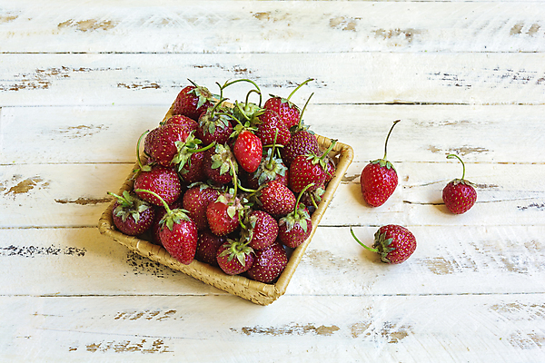 포토 JPG 해외이미지 과일 딸기 사람없음 해외202009 해외포토 파일형식