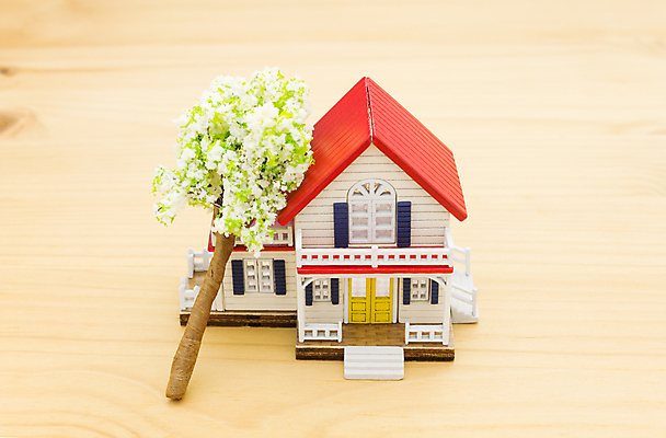 포토 JPG 해외이미지 나무 컨셉 비즈니스 주택 사람없음 손상 구출 재산 위험 불안 보험 깨짐 단절 위기 재앙 헬프 해외202009 해외포토 식물 감정 건물 금융 도움 파일형식