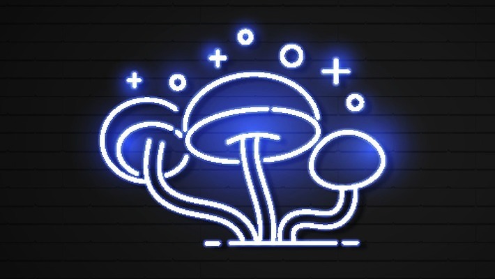 EPS 해외이미지 모양 디자인 계절 백그라운드 컨셉 일러스트 자연 추상 요정 미술 풍경 목재 그래픽 장식 초록색 빛 검은색 버섯 외계인 가을 게임 야간 숲 심볼 그림 생물학 네온 공상 마법 내추럴 고립 광 독버섯 엘리먼트 해외202009 해외일러스트 자연요소 나무 교육 컬러 무늬 재료 놀이 문화예술 미확인물체 생태계 파일형식 벡터