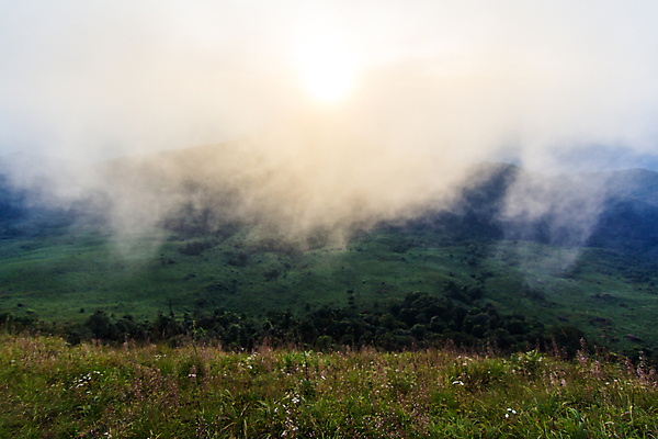 포토 JPG 해외이미지 구름 계절 공원 아시아 여행 백그라운드 밭 태국 자연 하늘 아침 휴가 산 풍경 초원 사람없음 야외 초록색 여름 파란색 빛 컬러풀 햇빛 태양 일출 환경 계곡 일몰 트래킹 하이킹 자유 숲 언덕 내추럴 파라다이스 하이커 해외202009 해외포토 주간 자연요소 공공시설 나라 컬러 컨셉 농업 레저 노을 생태계 파일형식