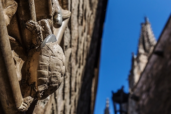 포토 JPG 해외이미지 유럽 여행 건축양식 사람없음 성당 도시 중세 스페인 거북이 바르셀로나 고딕 스페인어 해외202009 해외포토 건축 나라 종교건축 파충류 역사 파일형식
