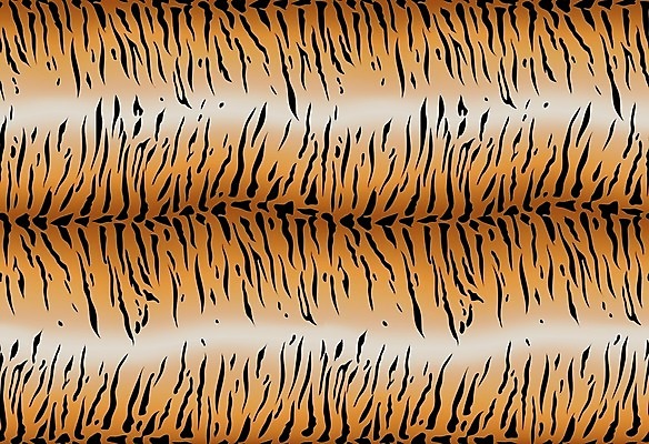 EPS 해외이미지 동물 선 백그라운드 패턴 오렌지 일러스트 털 그래픽 가로 검은색 고양이 줄무늬 흰색 직물 호랑이 인쇄 피부 질감 현실 해외202009 해외일러스트 컬러 무늬 과일 포유류 신체부위 반려동물 파일형식 벡터