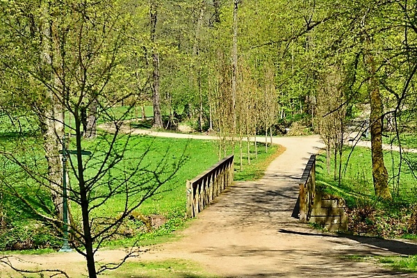 포토 JPG 해외이미지 나무 식물 계절 공원 도로 길 백그라운드 잎 자국 자연 풍경 잔디 사람없음 야외 목재 초록색 여름 빛 햇빛 평화 환경 정원 맑음 침묵 봄 산책 숲 오솔길 장면 체코 내추럴 방법 보헤미아 해외202009 해외포토 공공시설 유럽 컬러 컨셉 재료 교통시설 날씨 휴식 태양 소리 생태계 파일형식