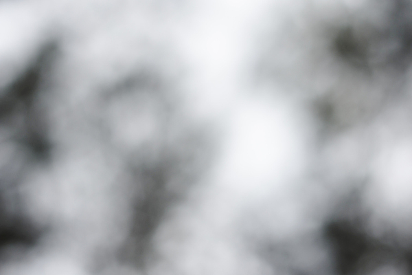 포토 JPG 해외이미지 디자인 백그라운드 패턴 표면 추상 사람없음 검은색 흰색 닫기 묘사 질감 구성 블러 스타일 해외202009 해외포토 컬러 무늬 모션 파일형식