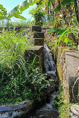 포토 JPG 해외이미지 나무 식물 계절 산업 문화 호수 음식 백그라운드 농업 자연 하늘 밥 산 동양인 풍경 사람없음 야외 건물 초록색 물 여름 파란색 농작물 강 농경지 환경 흐름 수확 시골 개울 숲 시리얼 운하 시스템 내추럴 논밭 채널 해외202009 해외포토 자연요소 건축물 컬러 컨셉 밭 논 인종 농장 생태계 파일형식