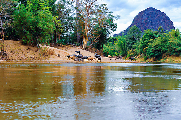 포토 JPG 해외이미지 나무 공원 유럽 아시아 호수 야생동물 바다 여행 백그라운드 컨셉 비즈니스 태국 자연 하늘 휴가 산 동양인 풍경 사람없음 야외 초록색 물 여름 파란색 강 반사 갈색 여행객 검은색 도시 보트 숲 언덕 내추럴 갈색배경 해외202009 해외포토 자연요소 식물 동물 계절 공공시설 나라 컬러 배_교통 사람 인종 생태계 파일형식